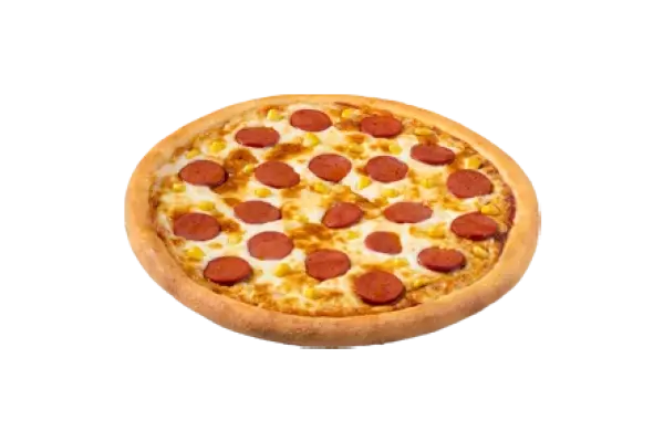 BİR ORTA BOY PİZZA 