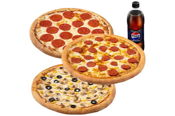  ÜÇ ORTA BOY PİZZA + LİTRE İÇECEK 